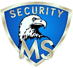 MS Security